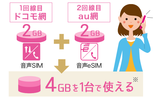 万が一のために2回線あったほうが安心！